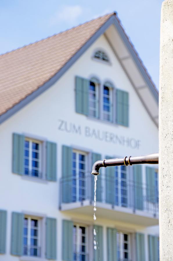 Gasthaus Zum Bauernhof Oberlunkhofen Екстер'єр фото